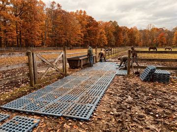 Prepping your paddock for fall mud season