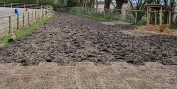 Michigan’s Freeze-Thaw Cycle: Why Your Yard Becomes Mud (And How to Stop It)