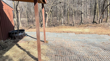 Mud-Free Horse Paddocks: How Michigan Equestrian Barns Protect Their Horses All Year Long