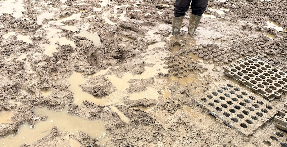 The Ultimate Guide to Mud-Proofing Outdoor High-Traffic Areas: Drivewa