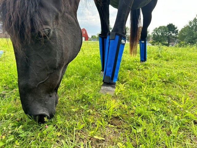 🐴 Premium Fly Boots – Blue Mesh Edition (Set of 4)