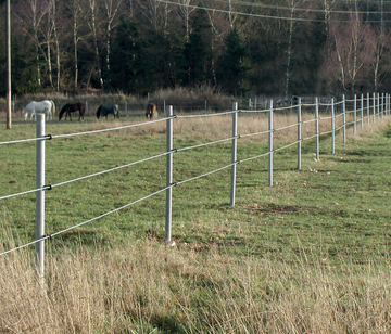 Fence Posts