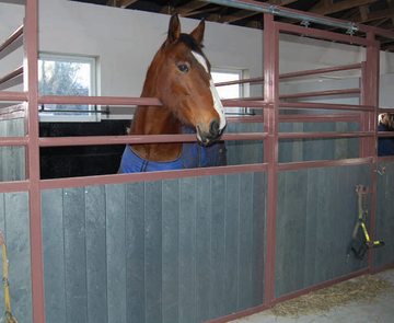 Stable Boards
